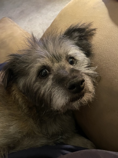 Entry image for George. Clicking this image will show a larger photo