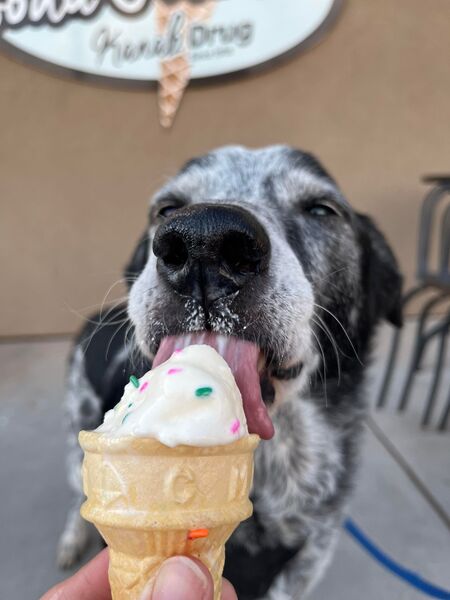 Entry image for Little Man. Clicking this image will show a larger photo