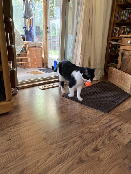 Entry image for Mattie. Clicking this image will show a larger photo