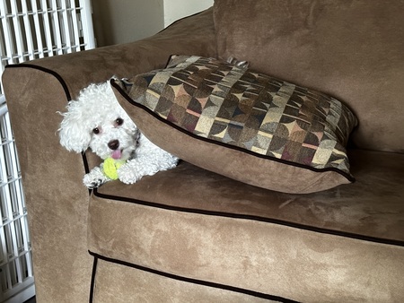 Entry image for Mina. Clicking this image will show a larger photo