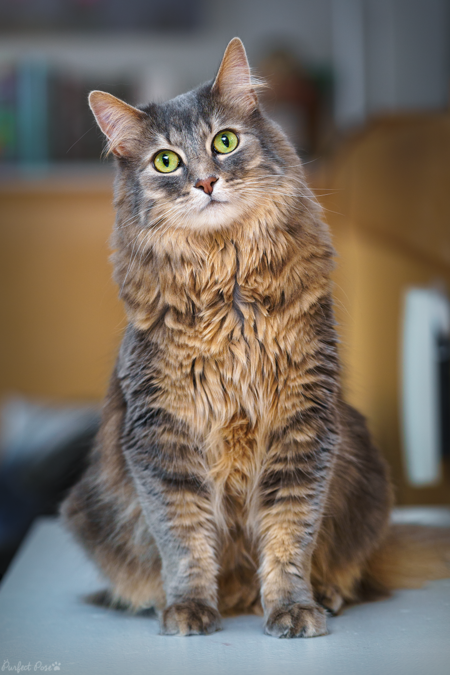 Entry image for Journey. Clicking this image will show a larger photo