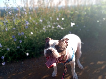 Entry image for Jessimae. Clicking this image will show a larger photo