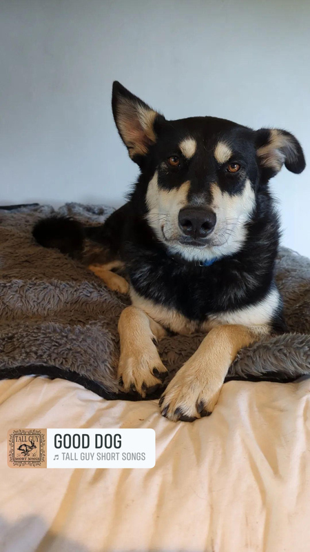 Entry image for Mav. Clicking this image will show a larger photo