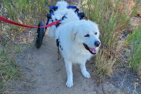 Entry image for Haku Parker. Clicking this image will show a larger photo