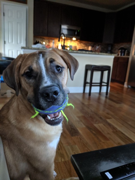 Entry image for Aspen . Clicking this image will show a larger photo