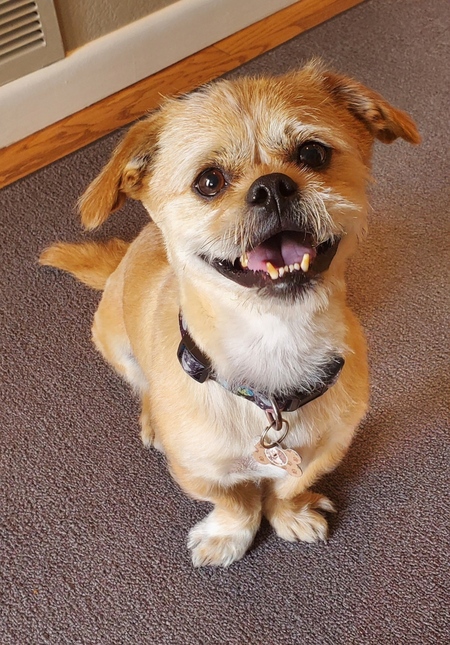 Entry image for Jax. Clicking this image will show a larger photo