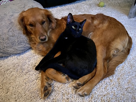 Entry image for Mikko and Zoe . Clicking this image will show a larger photo