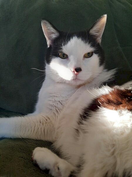 Entry image for Gary. Clicking this image will show a larger photo