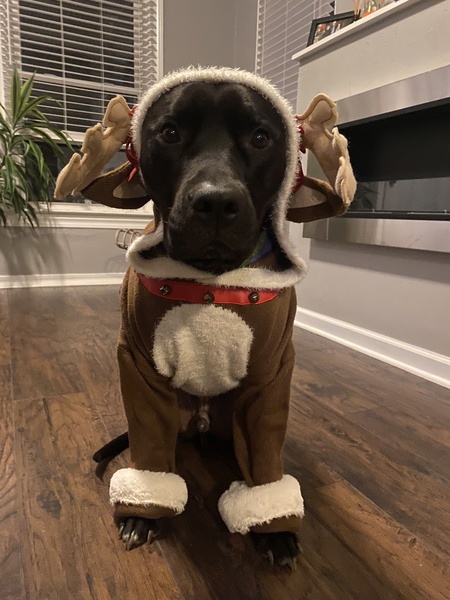 Entry image for Gisborne. Clicking this image will show a larger photo