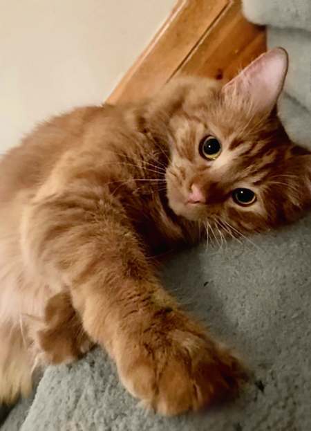 Entry image for Aether. Clicking this image will show a larger photo