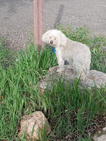 Entry image for Oliver. Clicking this image will show a larger photo