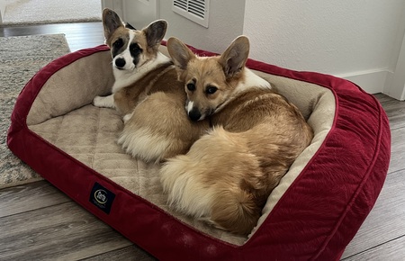 Frida and Sophie (mask)