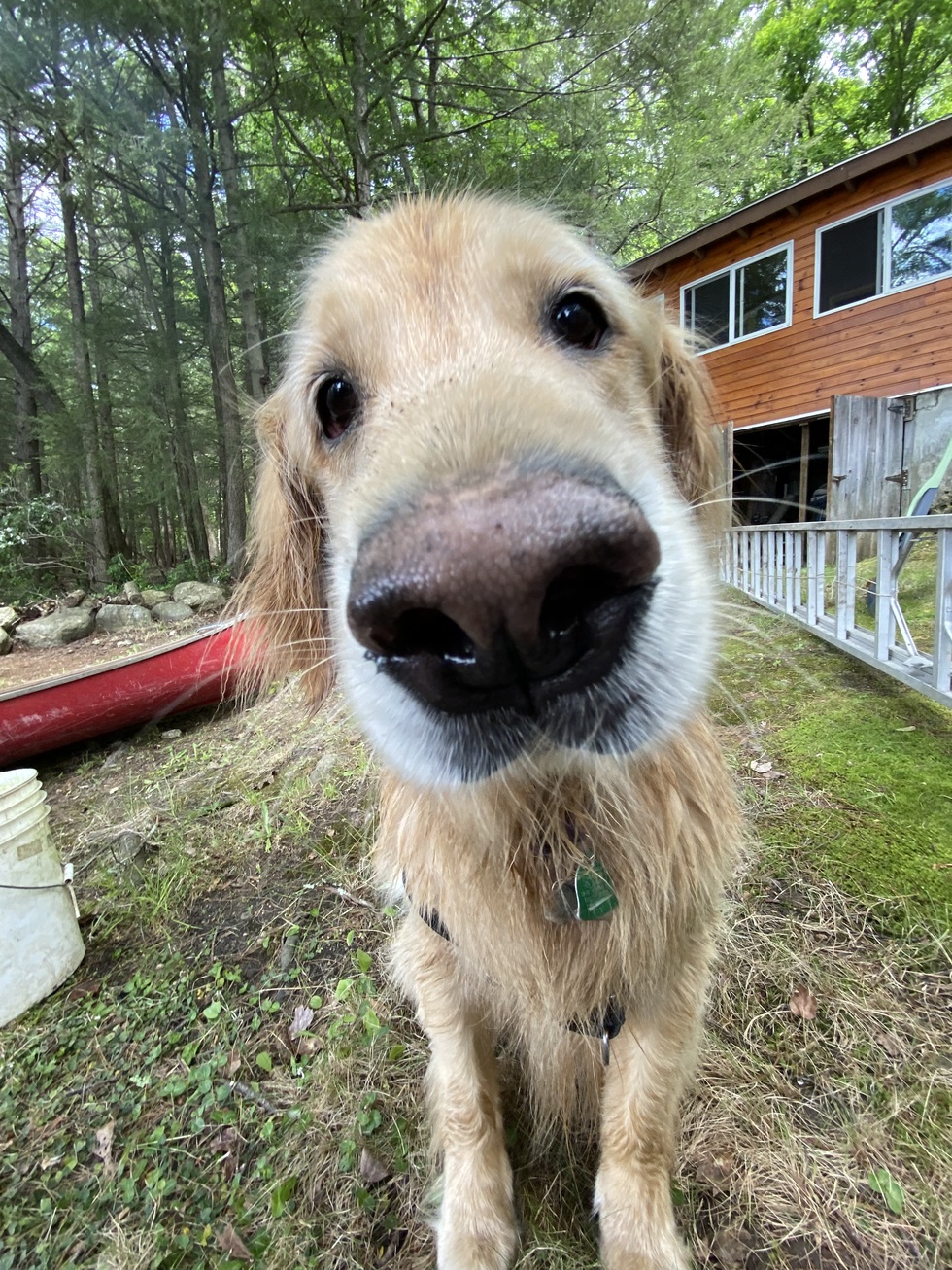 Vote For Frisco Calendar Photo Contest vote-for-frisco-calendar-photo-contest