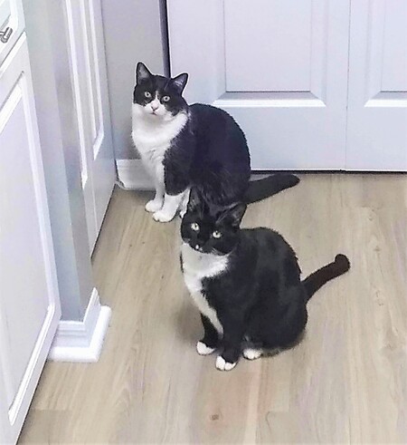 Jazzy & Blinker