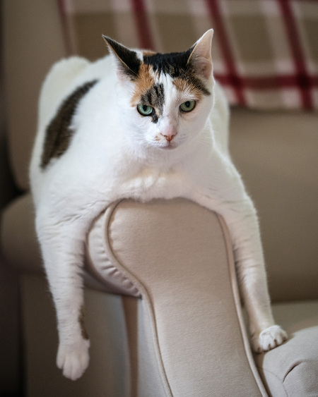 Chloe