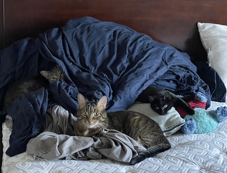 Jimmy, Jewels and Malin