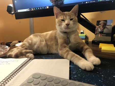 Lorenzo