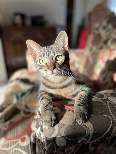 Milo