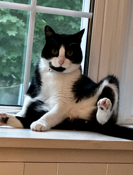 Ollie