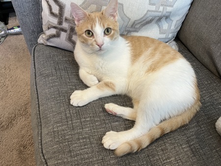 Percy
