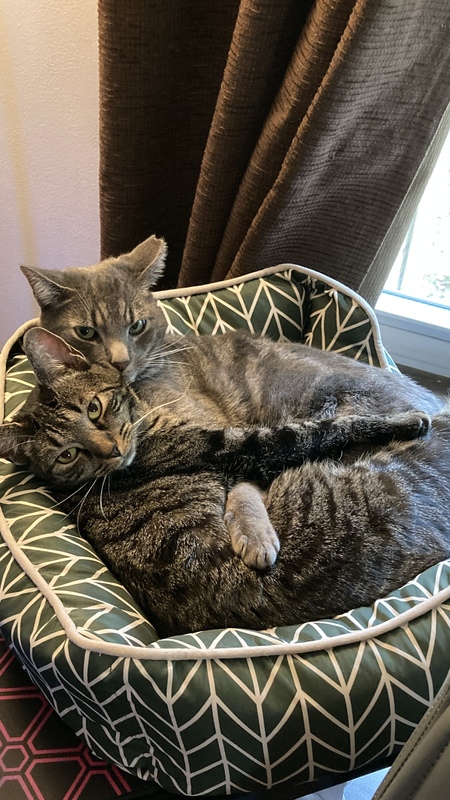 Sasha & Simon