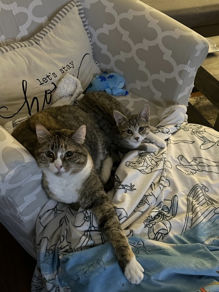 Naomi and Harper