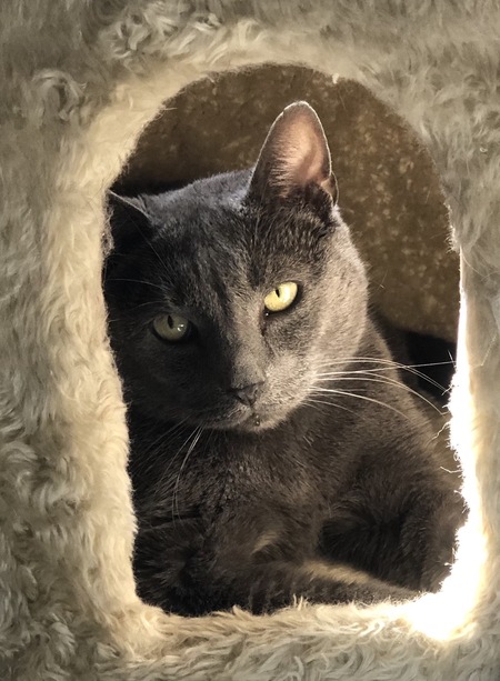 Max