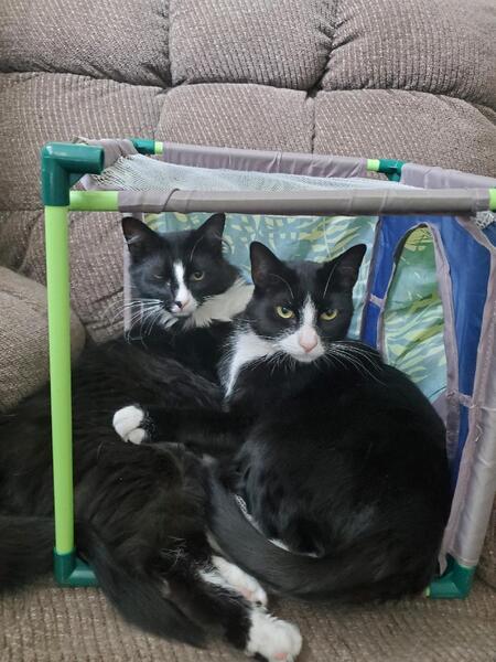 Tux and Jones