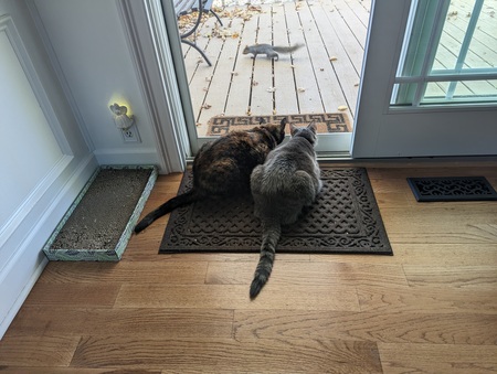 P.B. & Hunter