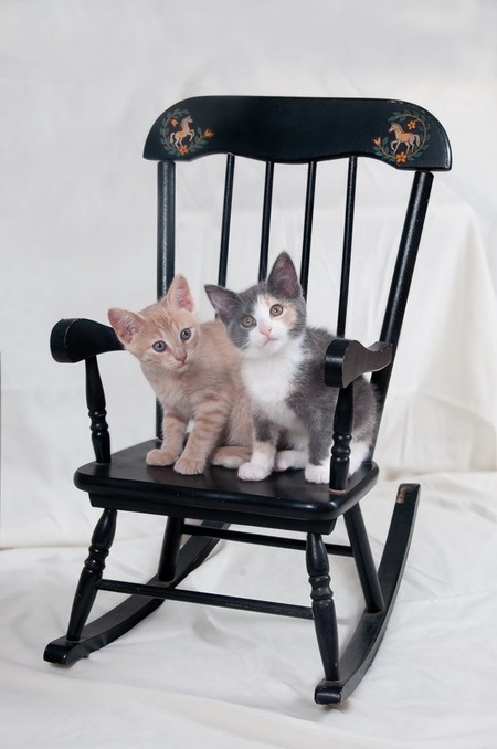 Linus & Lucy