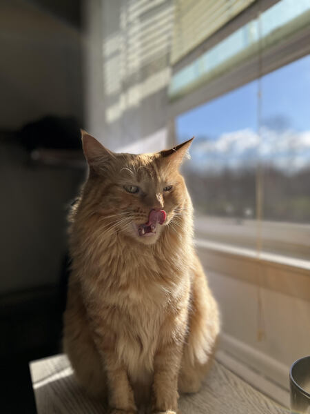 Toby