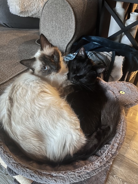 Charlotte and Luna