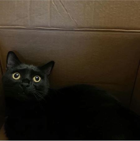 Max