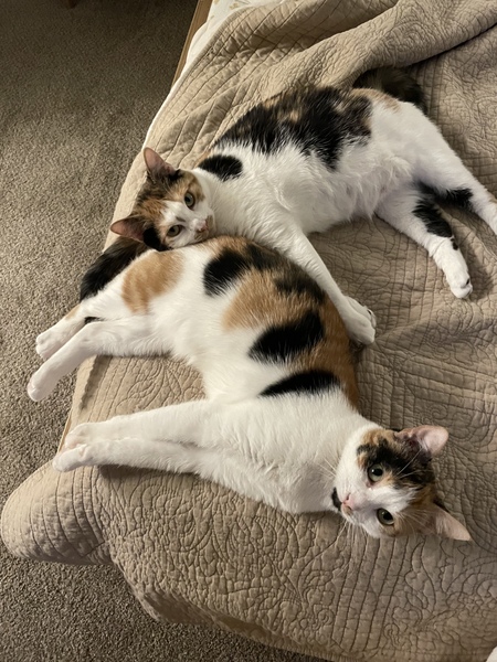 Ruby and Rhiannon