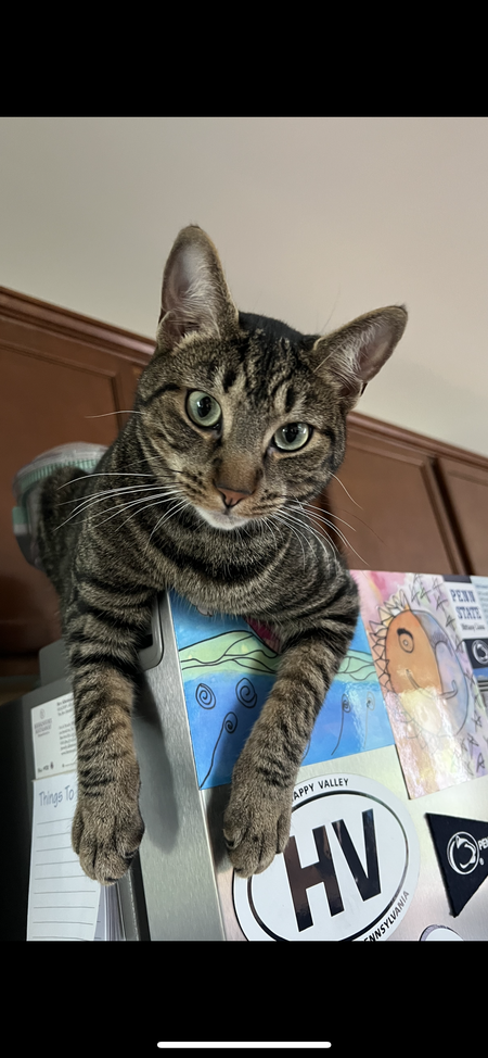 Tigger