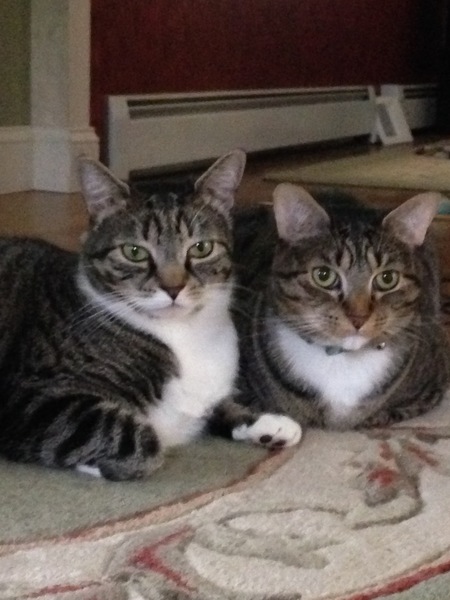 DD & Nutty