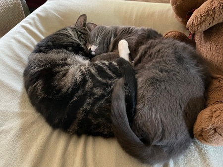 Bob and Amelia 