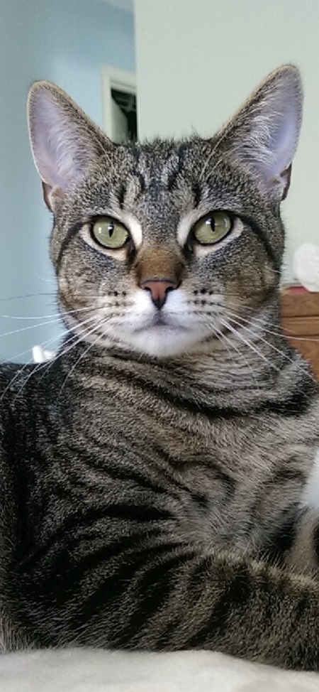 Leo