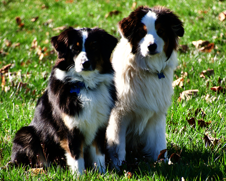 Beatrix and Henry