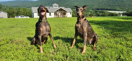 Smokey & Penny VanDoren