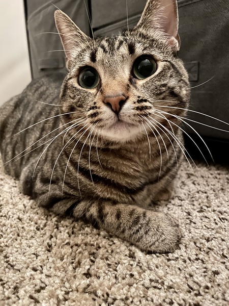 Looking Innocent!