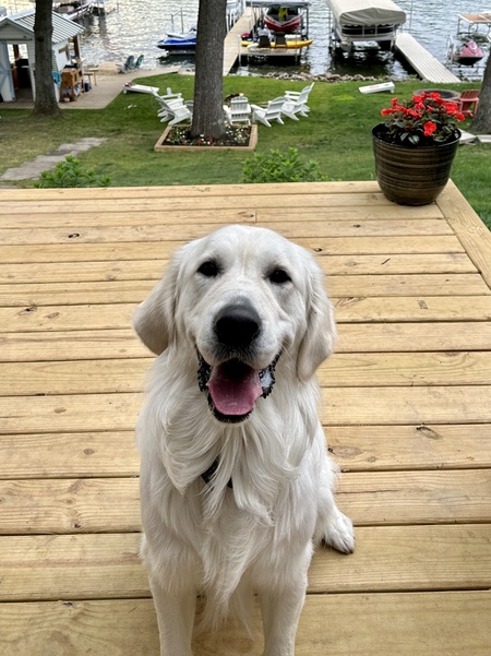 Lake Boy!