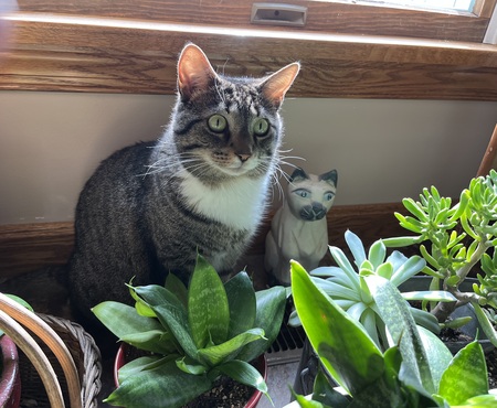 Blending In 
