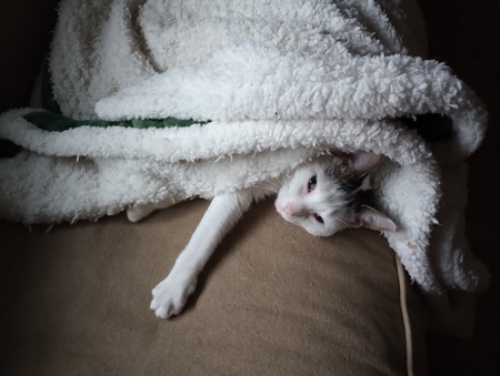 Nice and Cozy