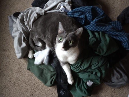 Laundry Day!