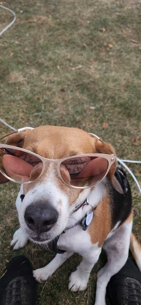 Wilbur