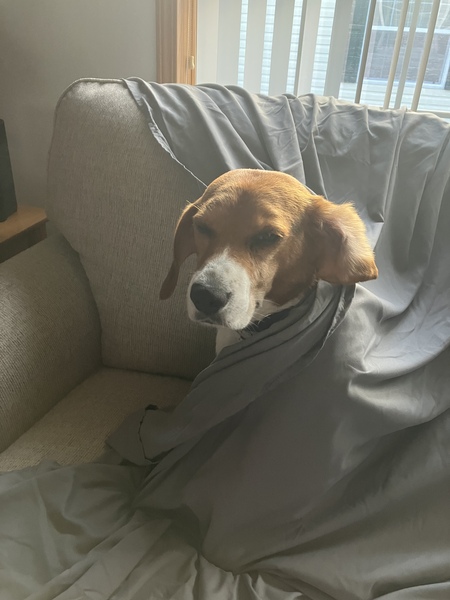 Winston 