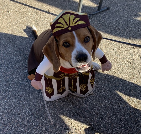 Cooper!