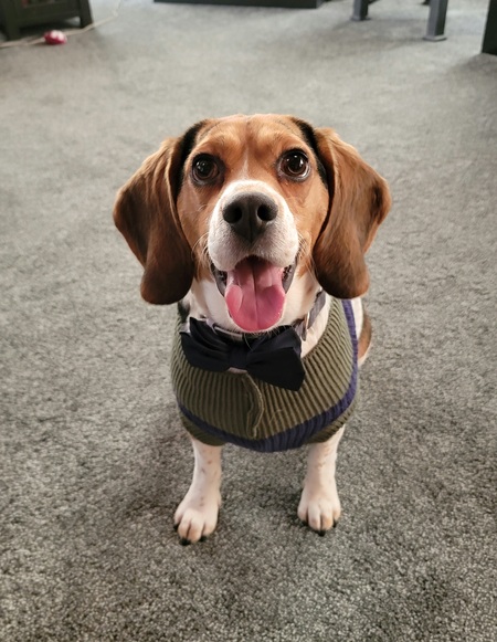 Charlie 