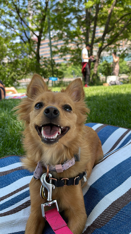 Minnie